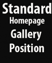 £15 Standard Home Page Gallery Spot